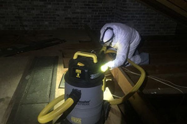 squirrel removal attic clean up restoration 1