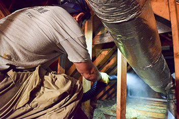 squirrel removal attic clean up restoration 2