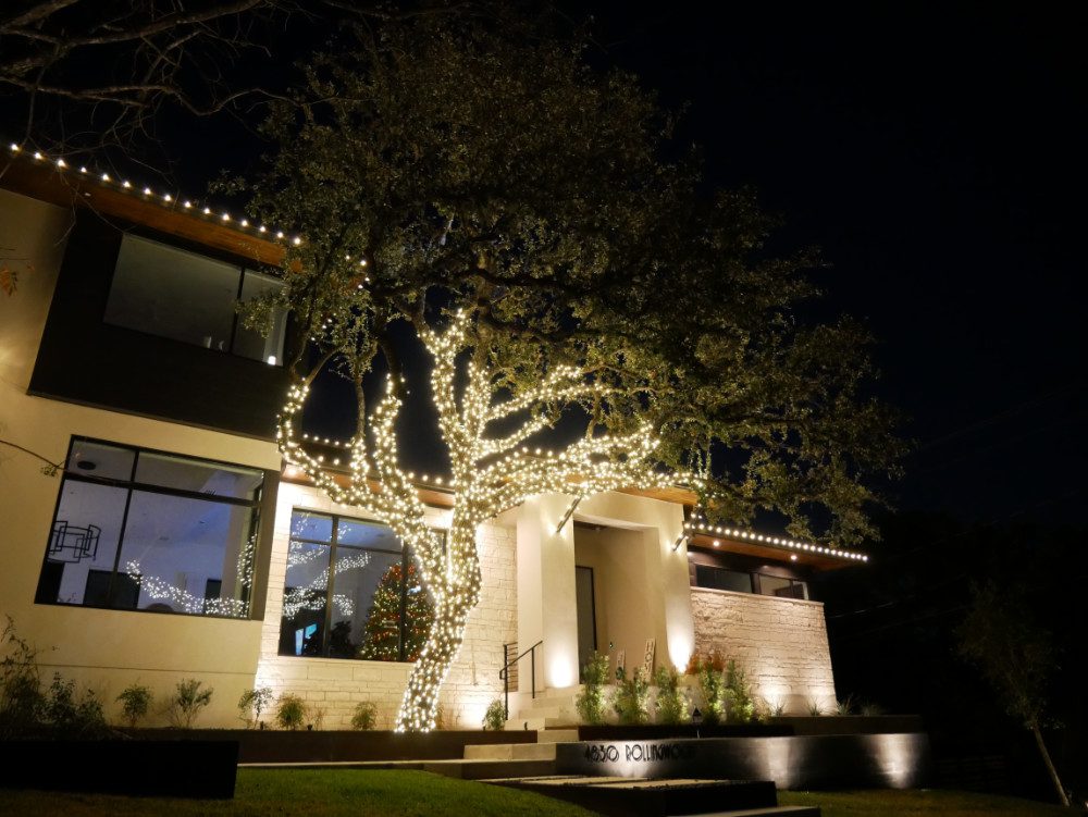 Holiday Lighting & Decoration Services - Outdoor Tree Lighting