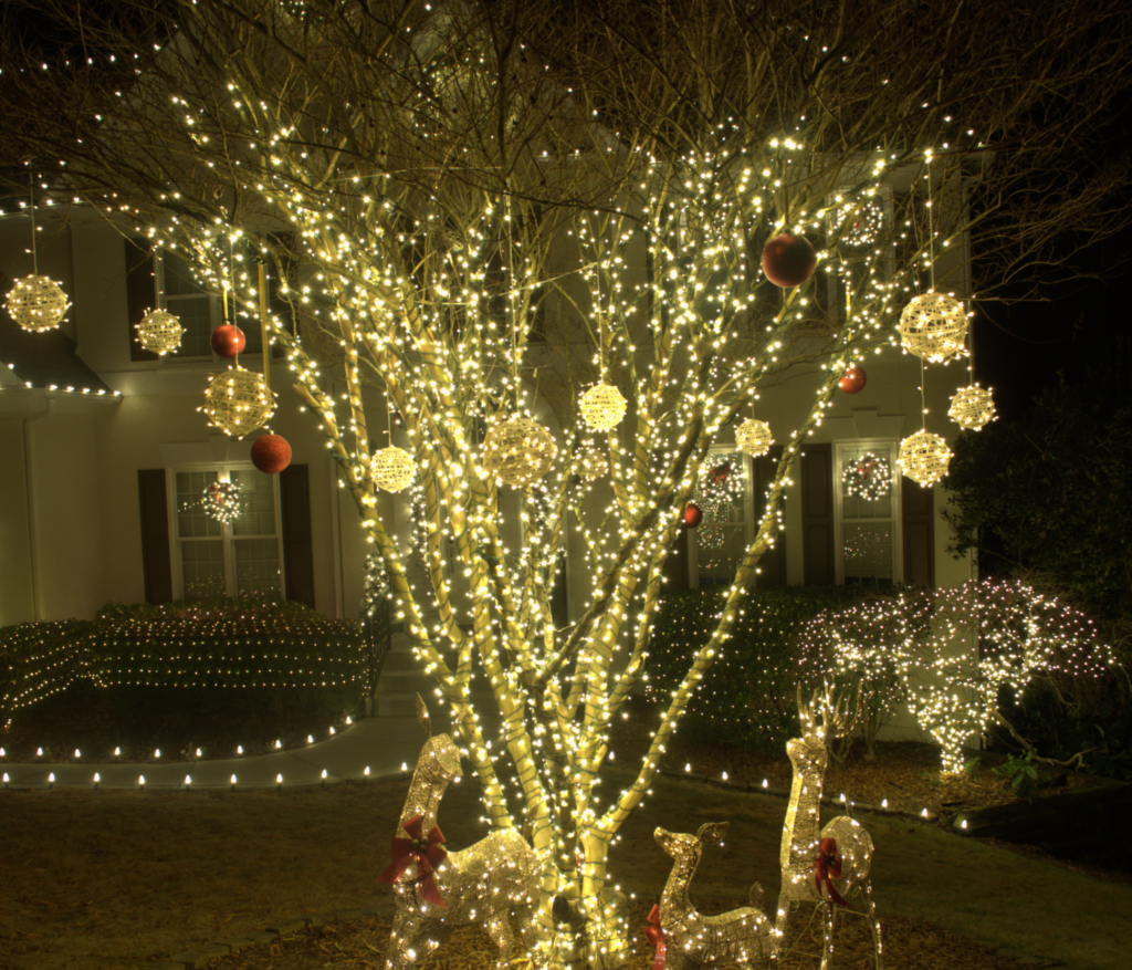 Top-Rated Holiday Lighting & Decoration Services
