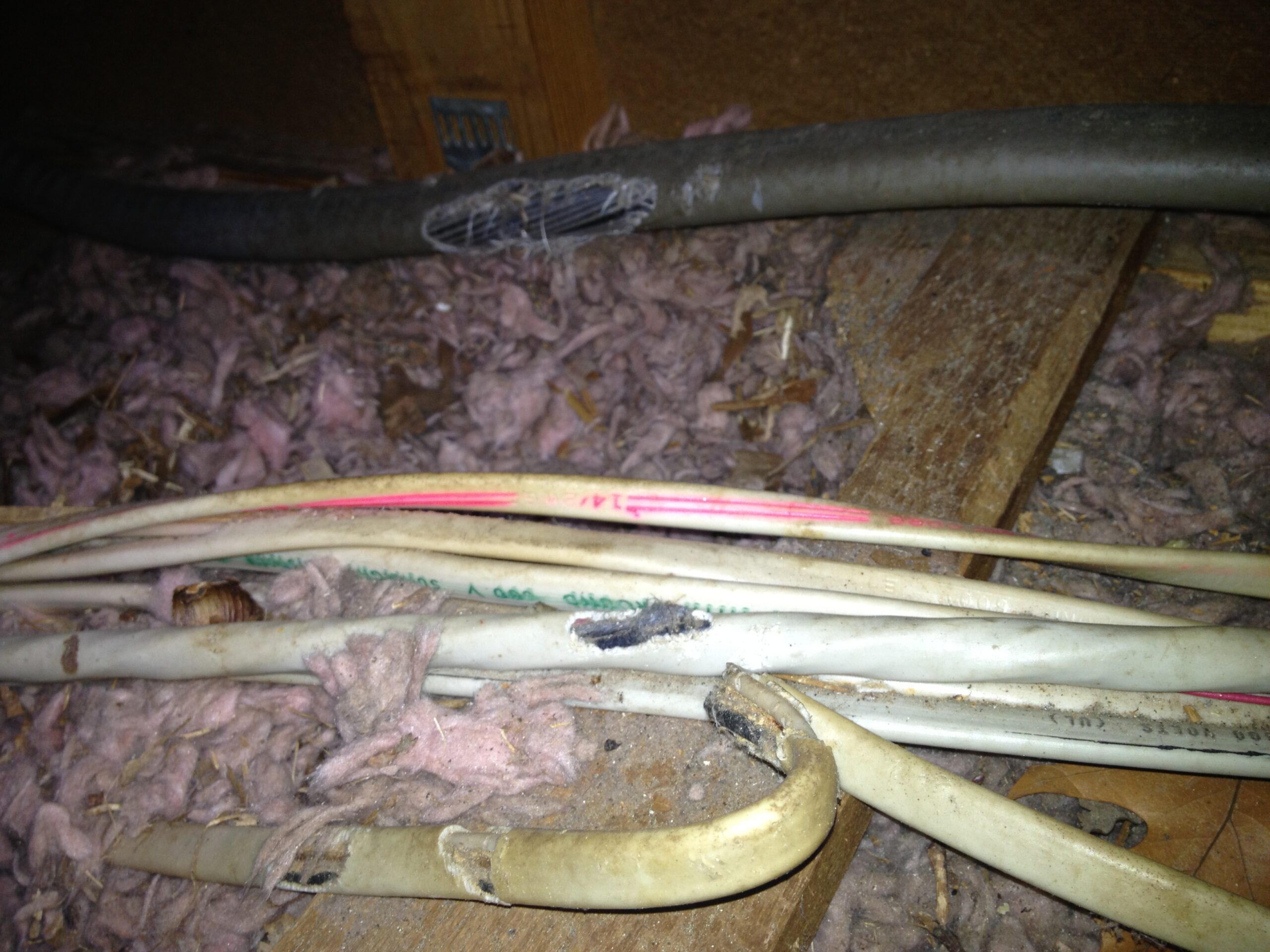 Rats chewed electrical wires