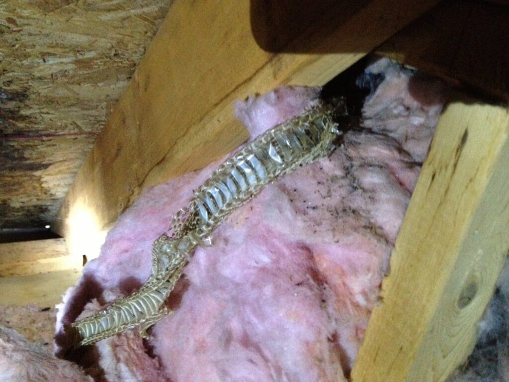 Contaminated attic insulation after rodent infestation in Georgia