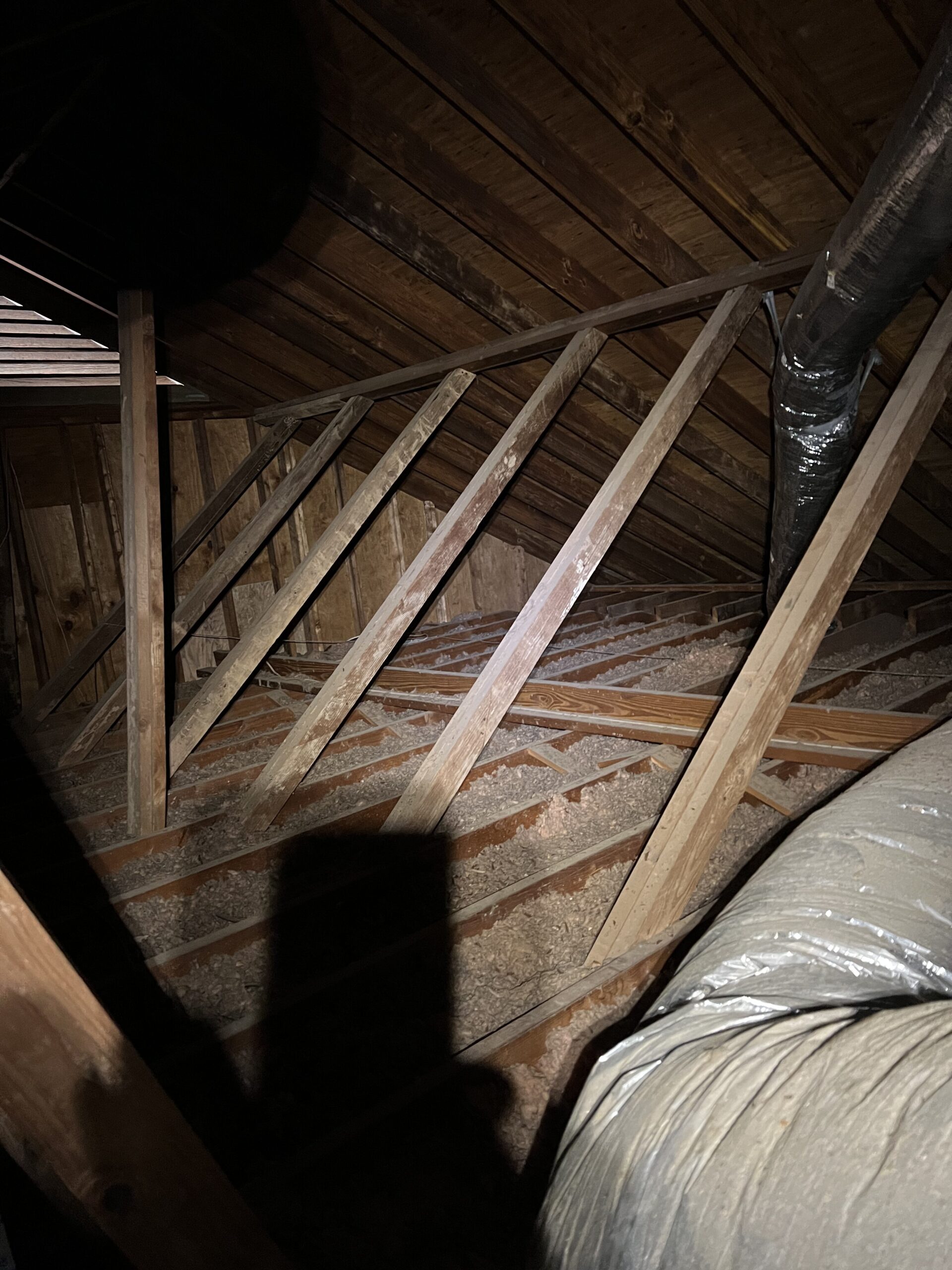 Professional attic sanitization during attic restoration Georgia