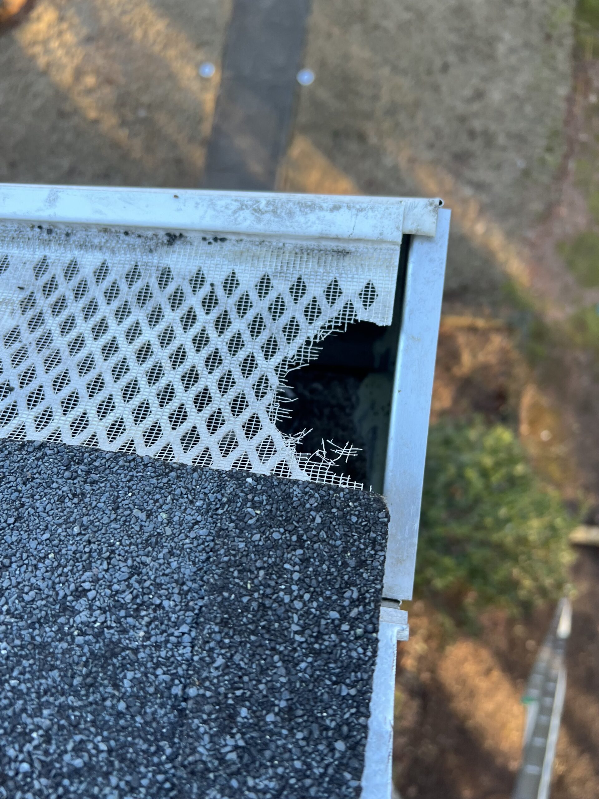 Wildlife entry points around Suwanee homes