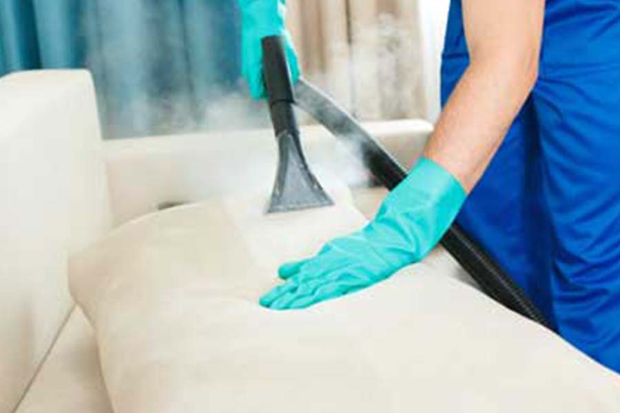 Humane wildlife removal service in Gainesville GA