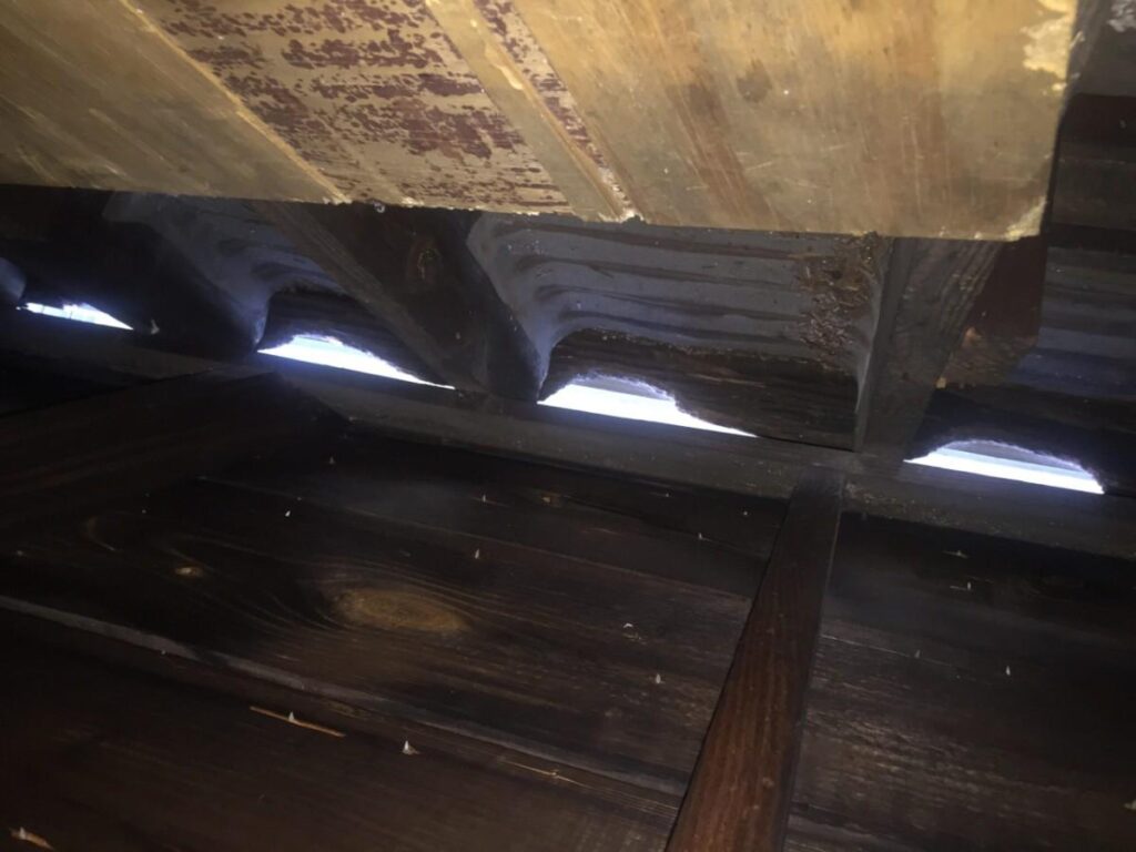 Squirrel entry point on a Milton GA roofline