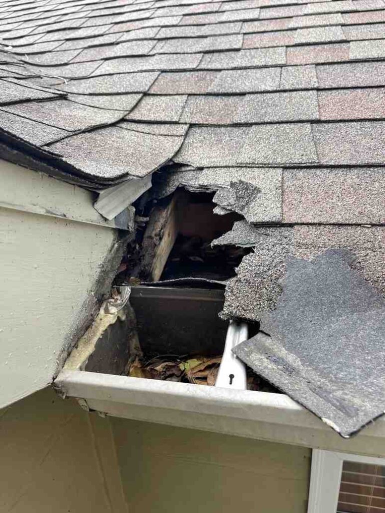 Squirrel entry point on a Milton GA roofline