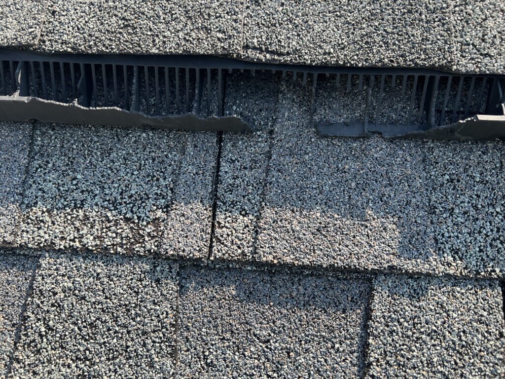 animal damaged siding replacement Atlanta